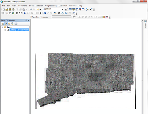 WMS_layer_ArcGIS10